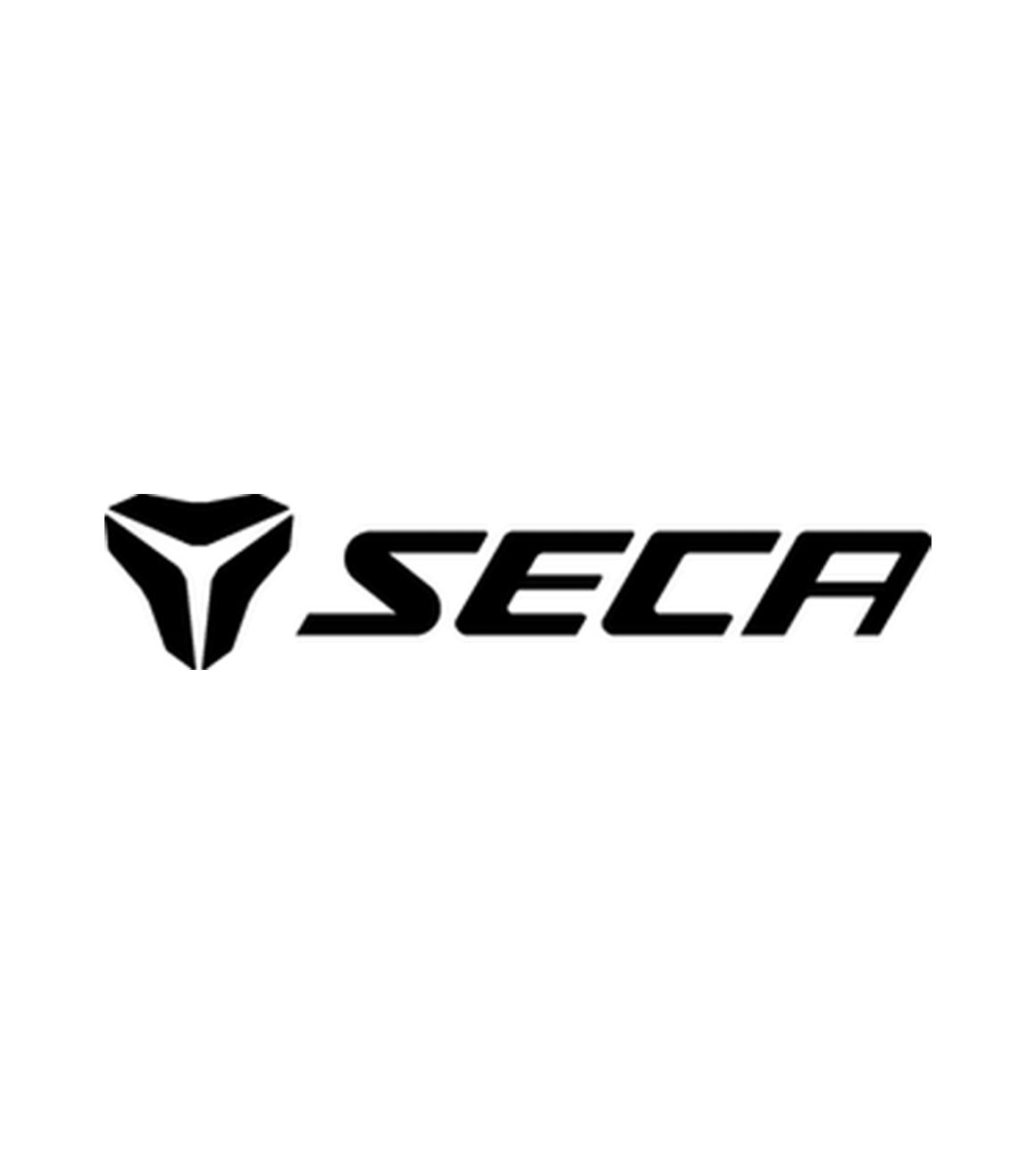 Bez nazwy-1